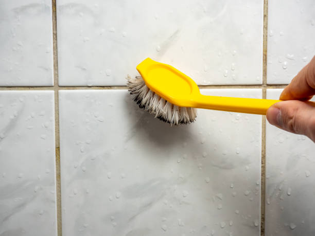 Best Commercial Mold Remediation in La Vernia, TX