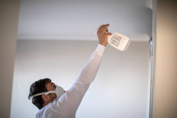 Best Mold Remediation for Schools in La Vernia, TX