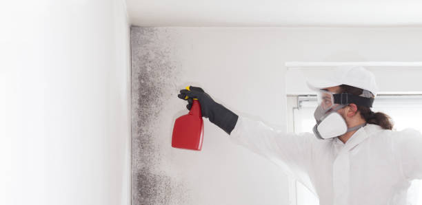 Best Bathroom Mold Remediation in La Vernia, TX